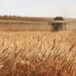 Rising Food Prices Threaten Global Food Security