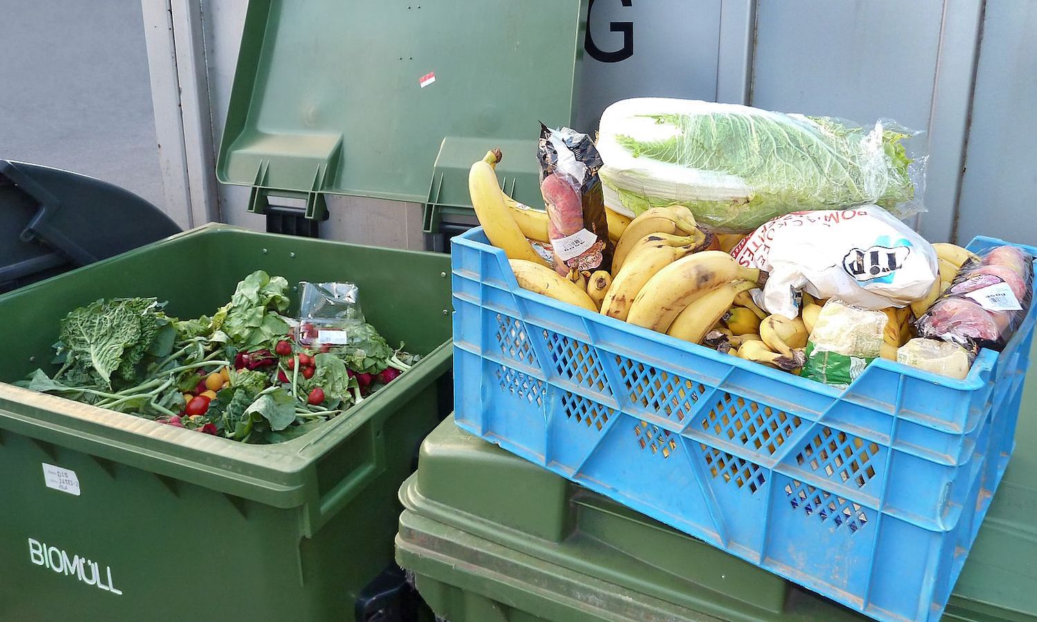 New York State Act to Reduce Hunger and Food Waste