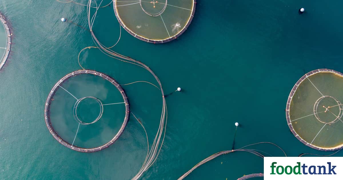 A recent open letter calls on the Biden-Harris administration to revoke an executive order that allows industrial aquaculture to grow unchecked.