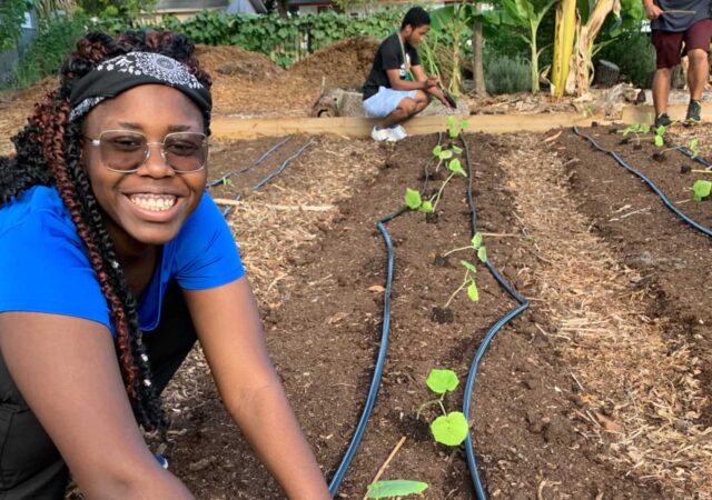 The GrowCity internship gives youth a better chance of future employment through hard and soft skill training in the garden.