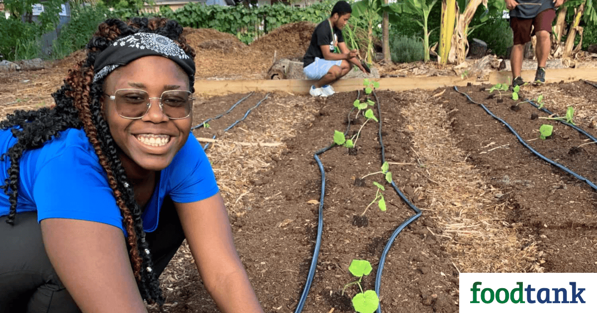 GrowCity Gets Youth Work Ready with Urban Gardening – Food Tank - Food Tank