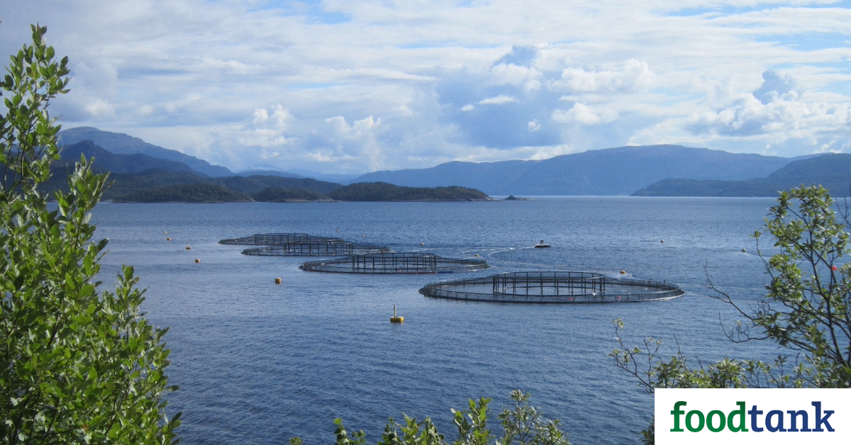 Global Seafood Alliance Launches Consumer-Facing Website to Raise Awareness of Sustainable Aquaculture