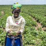 SDG2 Advocacy Hub Launches Two Anti-Hunger Campaigns at COP27