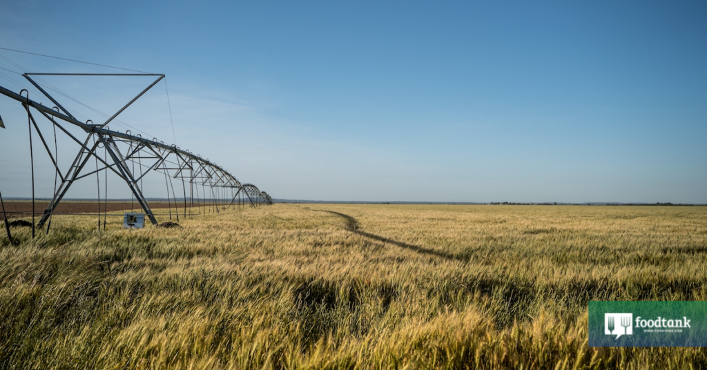 COP27, Industrial Agriculure, Small-scale Farmers, Climate Crisis ...