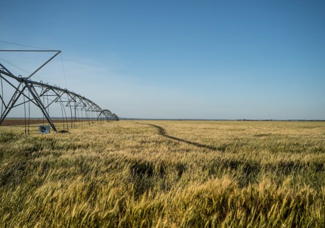 Climate Conference Strengthens Agribusiness Support, Leaves Small-Scale Farmers Behind