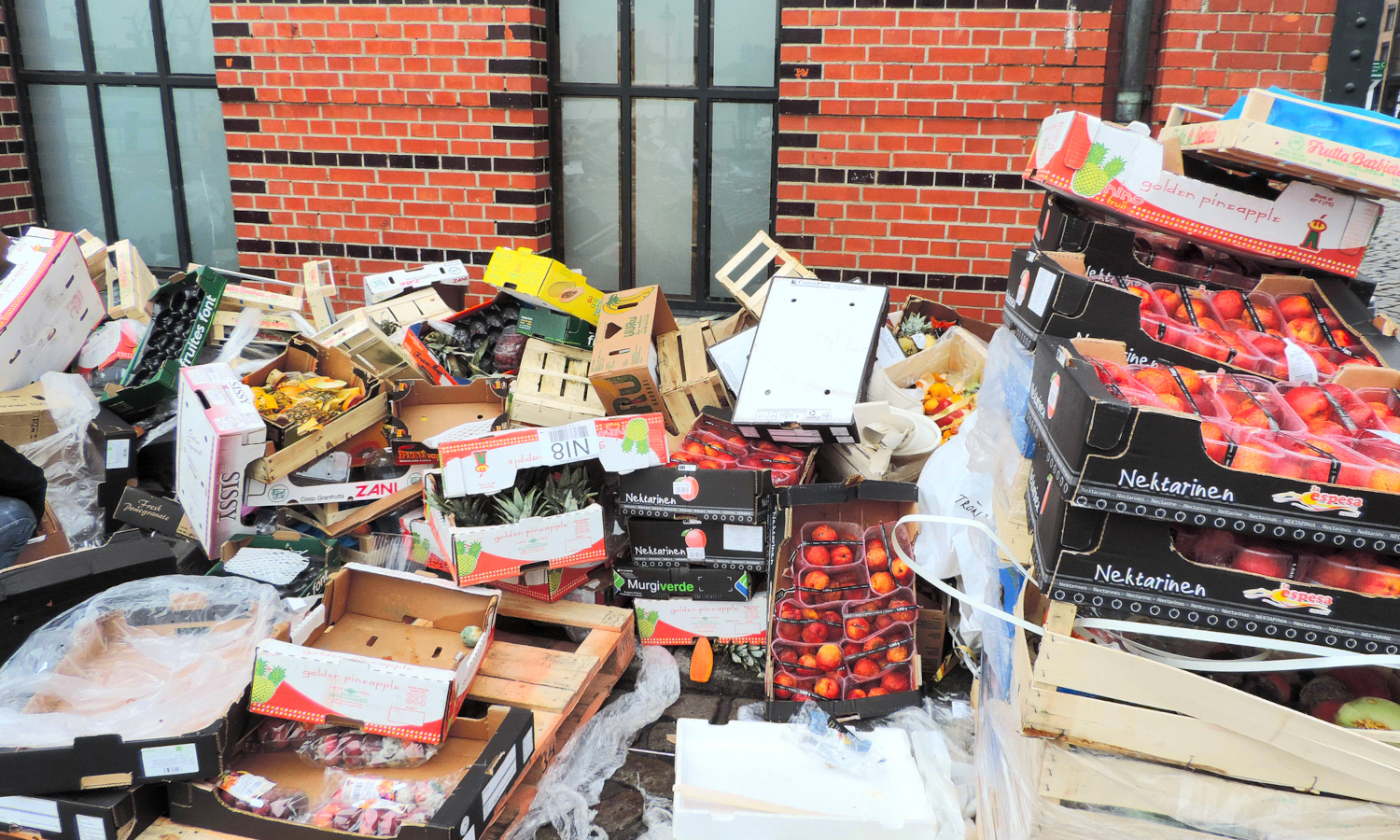Food Donation Tank Hunger Fight Food Cut Can Food Nigeria and Waste Help –