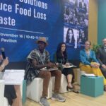 From Farm to Kitchen: Solutions to Address the “Low Hanging Fruit” of Food Loss and Waste