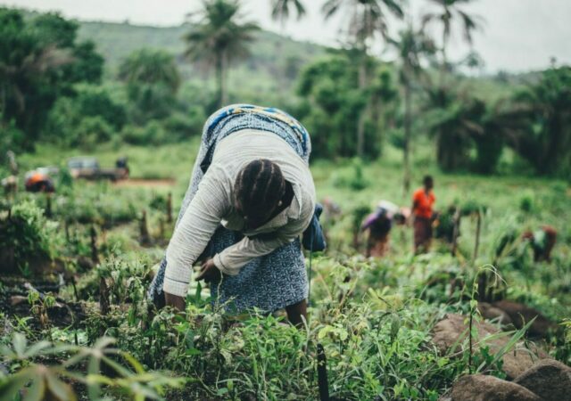 Rockefeller Foundation Announces Farmer-Led, Regenerative Agriculture Grants