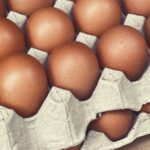 Is Corporate Consolidation Leading to Higher Egg Prices?