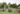 The Blackwood Educational Land Institute is a nature camp turned regenerative farming organization mentoring youth to become more in touch with the earth.