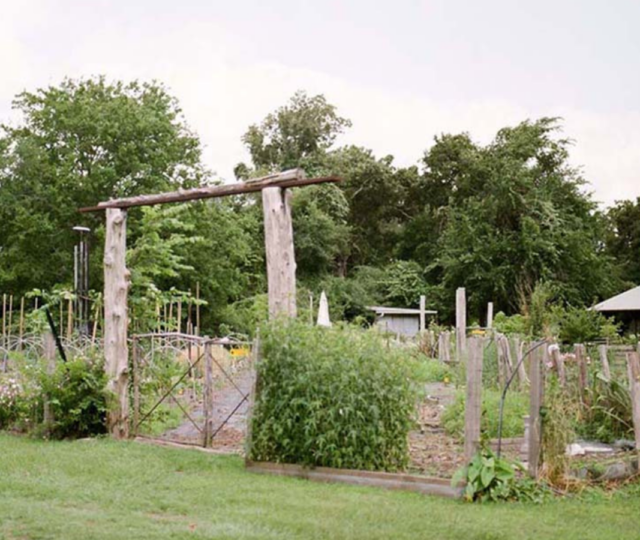 The Blackwood Educational Land Institute is a nature camp turned regenerative farming organization mentoring youth to become more in touch with the earth.