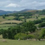 New Welsh Agriculture Bill May Boost Sustainable Production