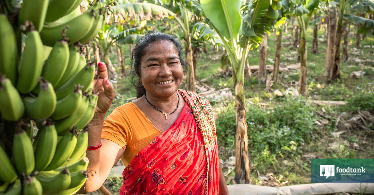 Global Developments Glaring Blind Spot The Power Of Smallholder Women Farmers Food Tank