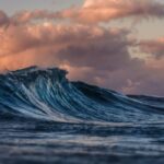 World’s Oceans at Risk: U.N. Members Meet Again to Reach Consensus on High Seas Treaty