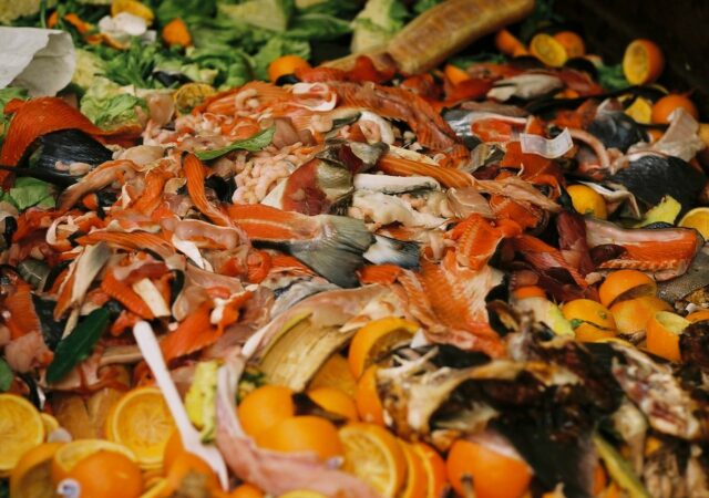 New Food Waste Data Is Out. What Do the Numbers Mean for Our Food System?