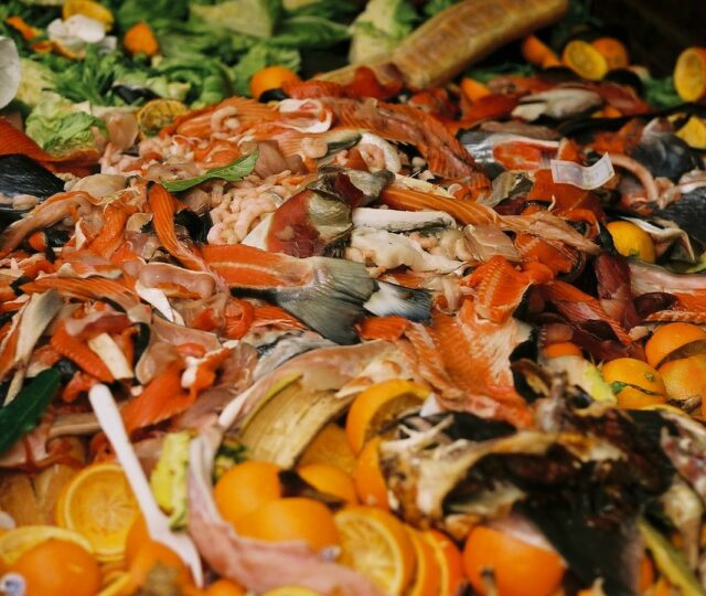 New Food Waste Data Is Out. What Do the Numbers Mean for Our Food System?