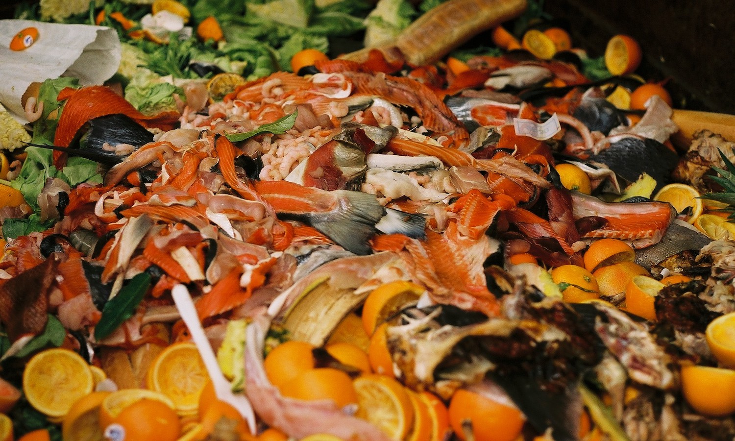 New Food Waste Data Is Out. What Do the Numbers Mean for Our Food System?