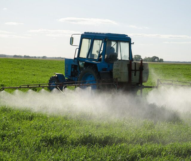 Report Urges Financial Sector to Take Action and Reverse Biodiversity Loss
