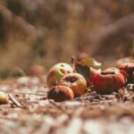 Stakeholders ‘Think Bigger’ About Solutions to Food Waste