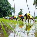 Revolutionizing Agriculture: How Empowering Women Could Boost Global Food Security and GDP