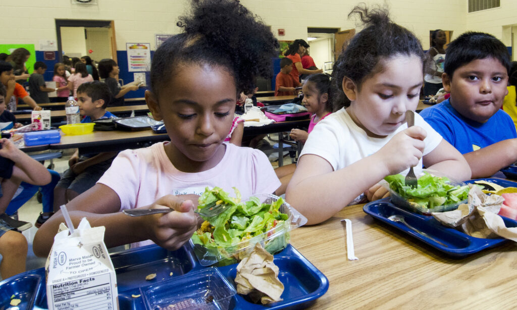 NYC Unveils First Ever Roadmap to Revolutionize Food Education in ...