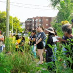 Community Food Navigator Leading The Way Toward Food Sovereignty in Chicago