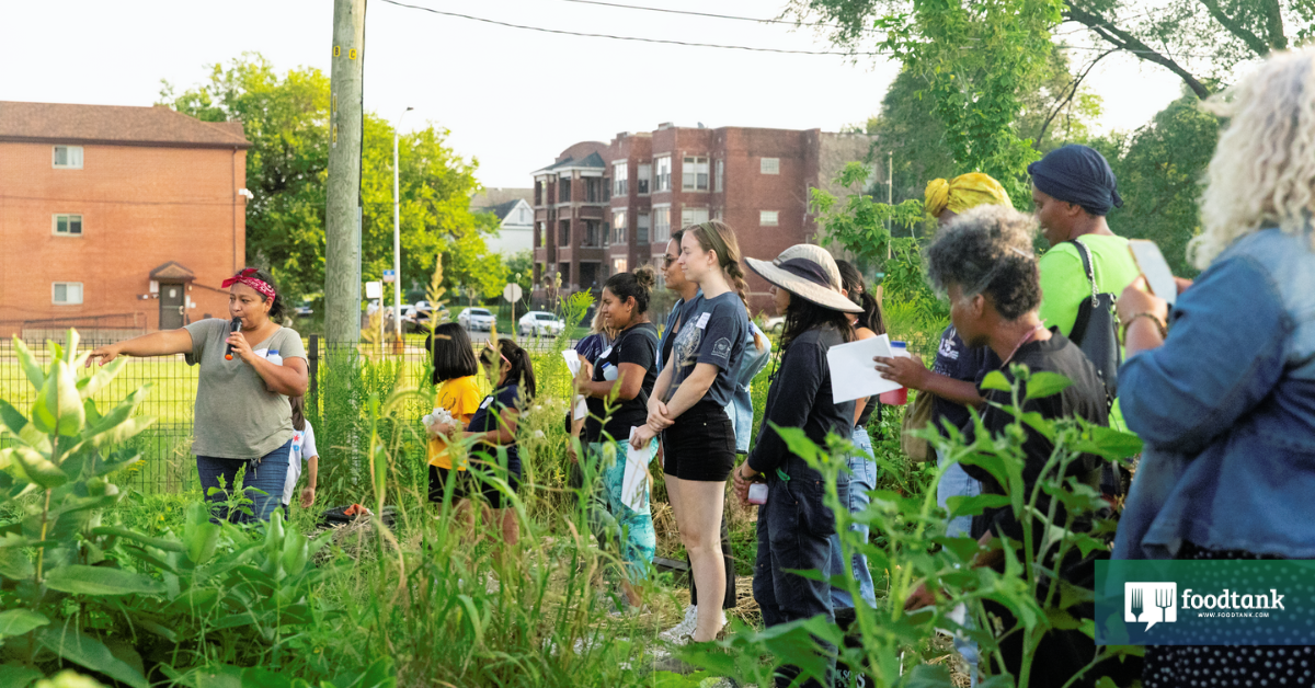 The Community Food Navigator is a Chicago-based hub of resources and connections driving forward food sovereignty for Black, Brown, and Indigenous people.