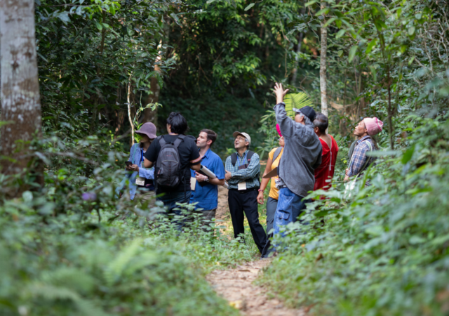 The case of the Karen people in Hin Lad Nai, Thailand shows how global environmental agreements can work in favor- and against- Indigenous People’s Rights.