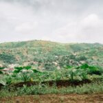 Op-Ed: It’s Time for the World to Invest in African Agri-Food Innovations and Innovators