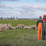 Nurturing a Path to Success for Small, Sustainable Sheepherders