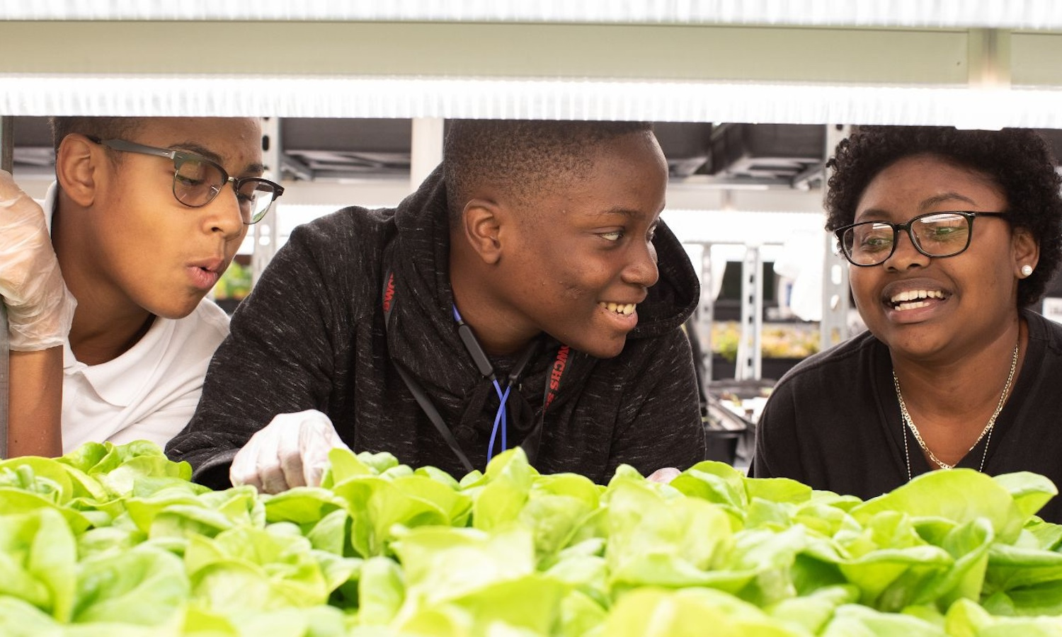 Agriculture, Education, and Advocacy: Teens for Food Justice