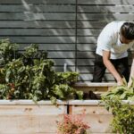 Cultivate Food Sovereignty in Your Home Garden with these Resources