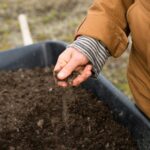 We Can’t Achieve Food Justice if We Don’t Prioritize Soil Health