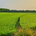 Exploring the Intersection of Climate Action and Nutrition Security