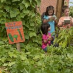 Feeding the Future: Newman’s Own Foundation Calls for Projects to Improve Food Justice for Children