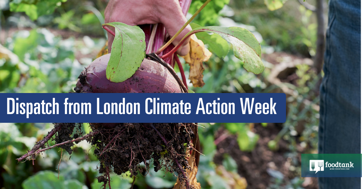 Report from London Climate Action Week – Food Tank
