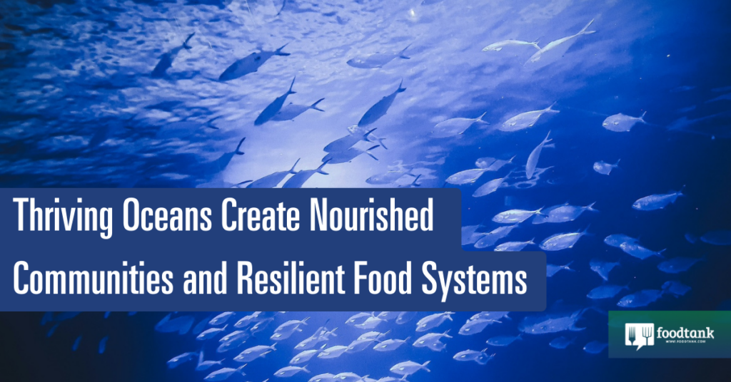 World Oceans Day, blue foods, aquatic foods, fishing_social – Food Tank