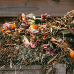 Table2Farms: Innovating Composting to Combat Climate Change