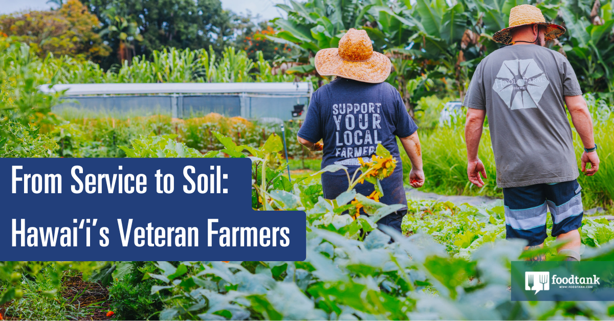 From Service to Soil Hawaiʻis Veteran Farmers Food Tank