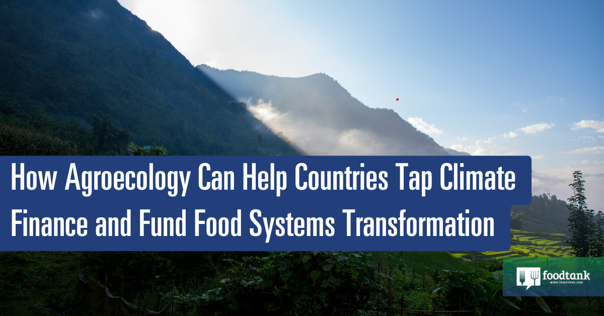 Agroecology: Unlocking Climate Finance for Food System Transformation