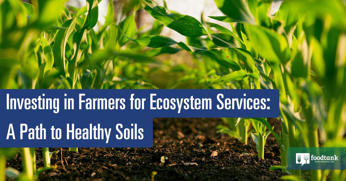 Investing in Farmers for Ecosystem Services: A Path to Healthy Soils – Food Tank