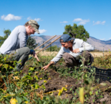 Zero Foodprint aims to use collective regeneration to help farmers improve soil health