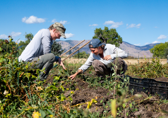 Zero Foodprint aims to use collective regeneration to help farmers improve soil health