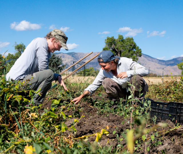 Zero Foodprint aims to use collective regeneration to help farmers improve soil health