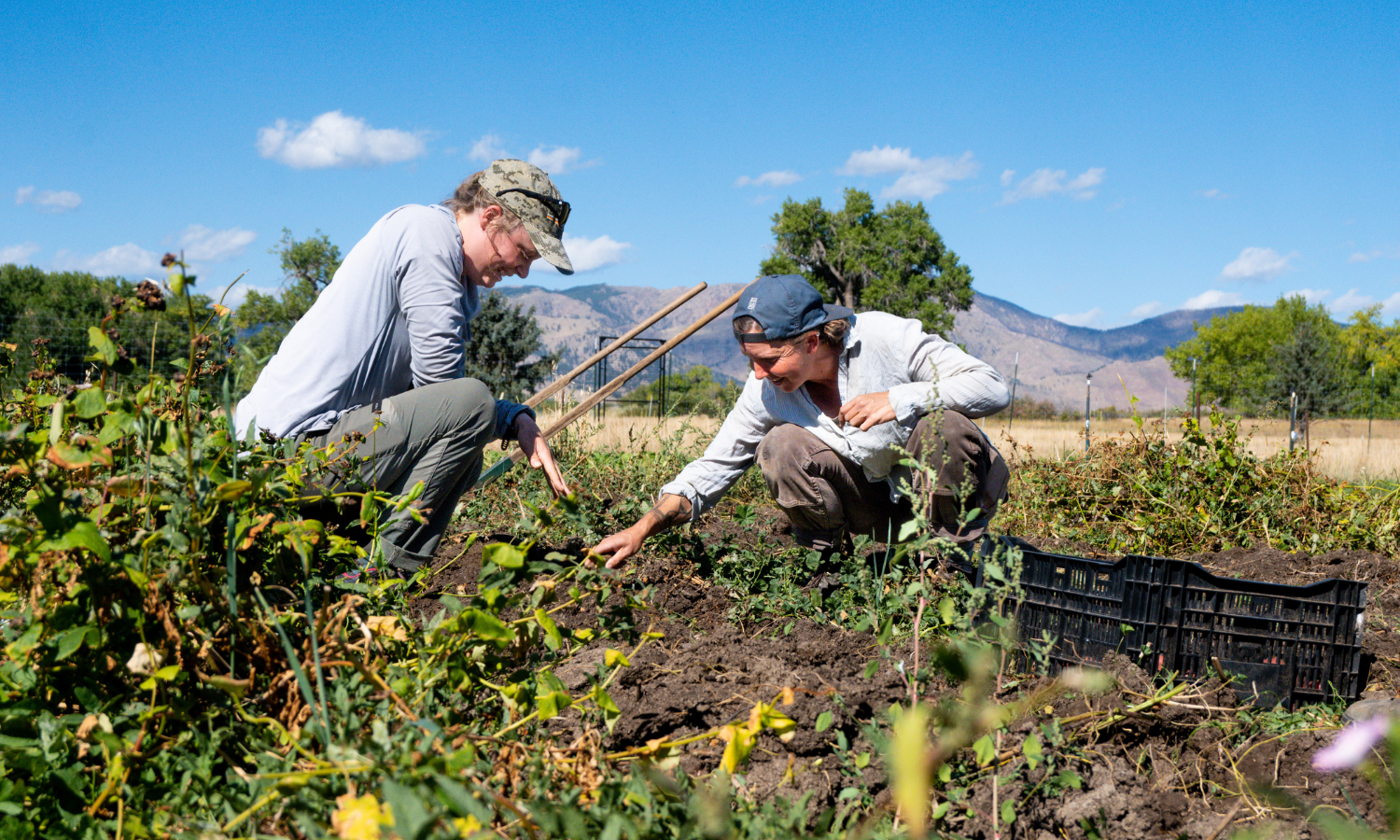 Zero Foodprint aims to use collective regeneration to help farmers improve soil health