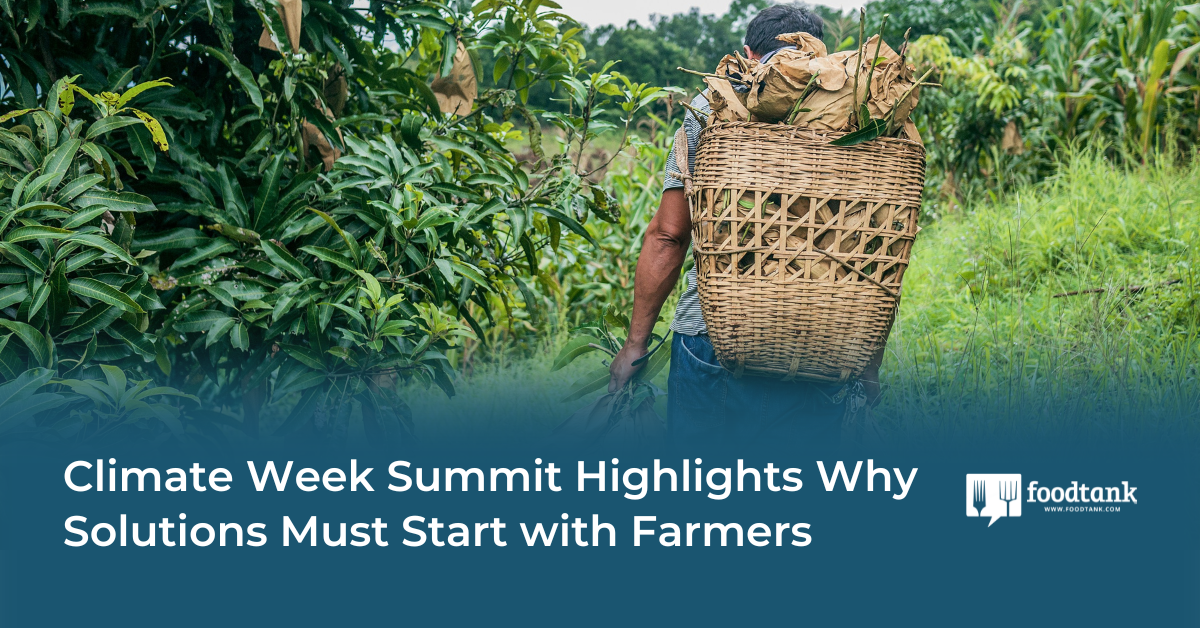 Climate Week Summit Highlights Why Solutions Must Start with Farmers