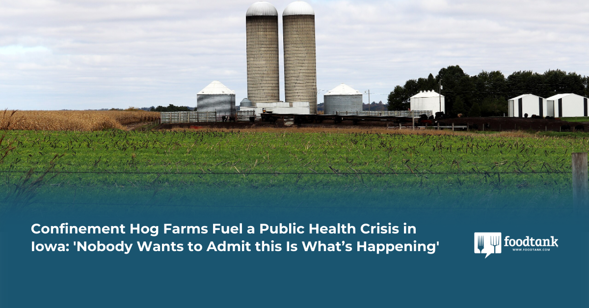 Confinement Hog Farms Fuel a Public Health Crisis in Iowa: ‘Nobody Wants to Admit this Is What’s Happening’