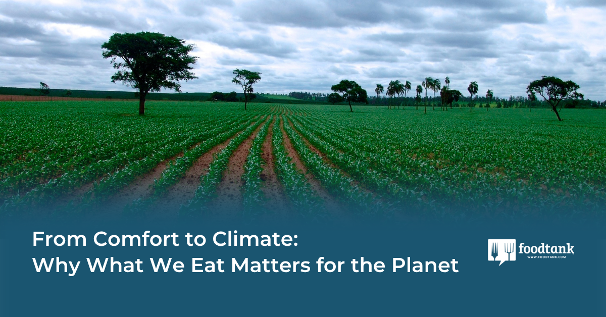 Op-Ed | From Comfort to Climate: Why What We Eat Matters for the Planet