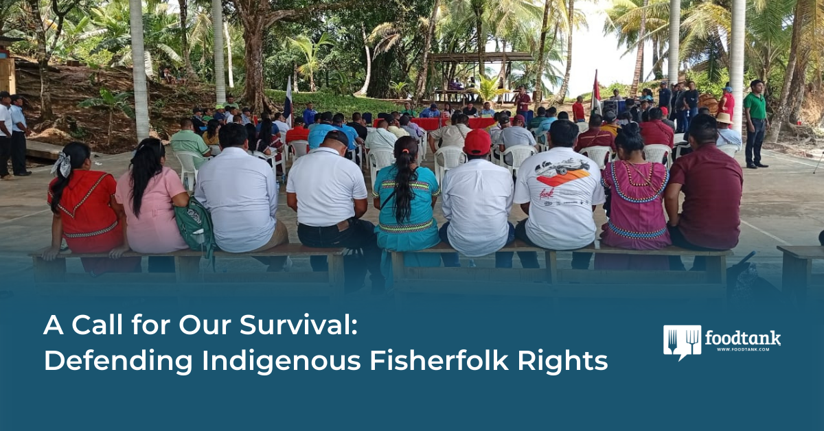 Op-Ed | A Call for Our Survival: Defending Indigenous Fisherfolk Rights