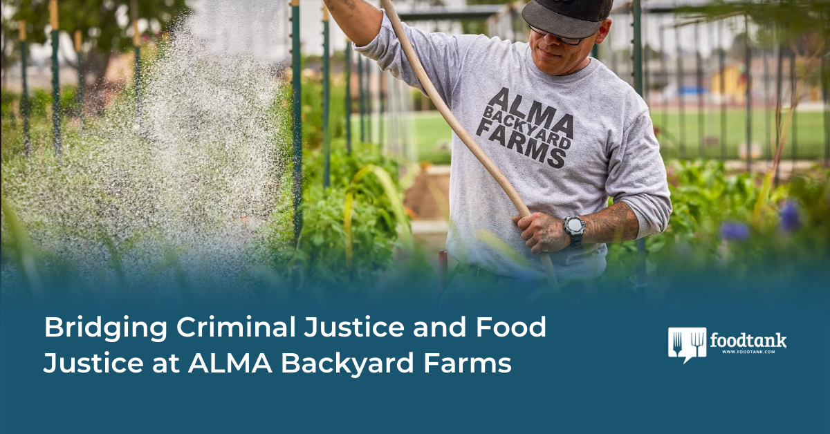 Bridging Criminal Justice and Food Justice at ALMA Backyard Farms